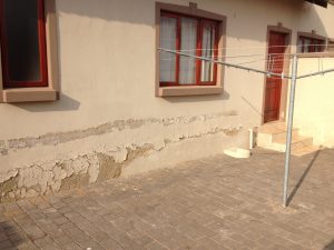 rising-damp-blistering-paint